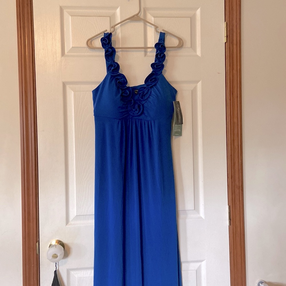 Woman’s Signature by Sangria dress